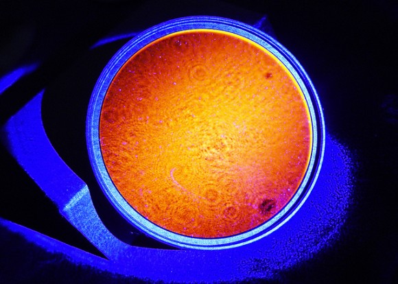 An Orange and Blue Round Object